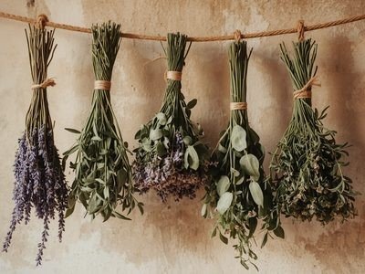 Cómo usar aceites esenciales sin complicarte