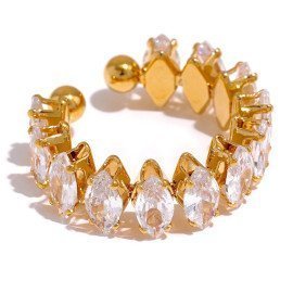  Anillos 